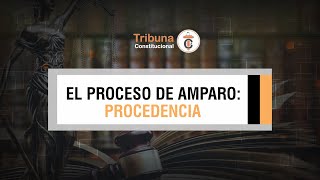 EL PROCESO DE AMPARO Procedencia  TC  342 [upl. by Dryfoos771]