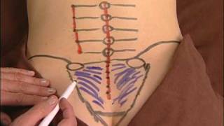 Anatomy Drawing of the Sacroiliac Ligaments [upl. by Olihs763]