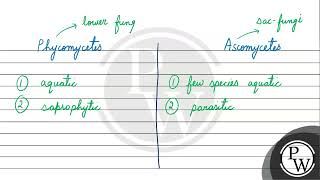 Write any three differences between phycomycetes and ascomycetes \ [upl. by Mavis688]