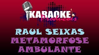 RAUL SEIXAS  METAMORFOSE AMBULANTE  KARAOKE [upl. by Ahtanaram]