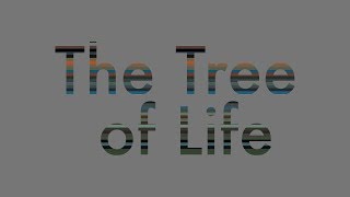 The Tree of Life [upl. by Llenehc]