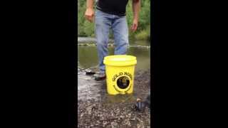 The Best Gold Panning Kit The Gold Rush Nugget Bucket [upl. by Anomis701]