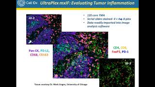 Multiplex Immunofluorescence Profiling of Tumor Biopsies Using UltraPlex mxIF Technology [upl. by Aicilaana583]