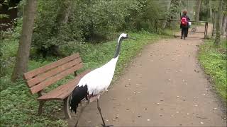 Vogelpark Niendorf [upl. by Laurence]