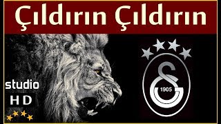 Çıldırın Çıldırın Stüdyo  Galatasaray Marşları [upl. by Eissert]