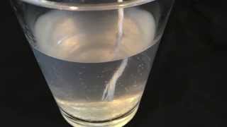 Growing Borax Crystals  Science Fair Experiment [upl. by Rider]