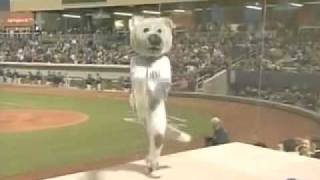 Mascot Falls off the Dugout while doing a dance [upl. by Echikson54]