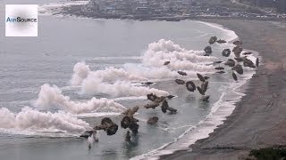 Massive Korea amp US Marines Amphibious Beach Landing [upl. by Nefets]