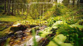 Celtic Music  Dancing in the Spring  A Music for OstaraAlbum  Relaxing Folk Acoustic Music [upl. by Delphina]