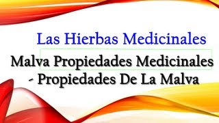 Malva Propiedades Medicinales  Propiedades De La Malva [upl. by Ynnal]