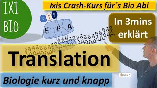 Translation in 3 mins erklärt  Biologie kurz und knapp  Ixis CrashKurs für´s BioAbi  15 Punkte [upl. by Rubina]