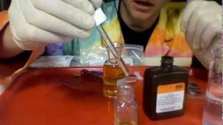 AP Biology Lab 12 Dissolved Oxygen [upl. by Nylekoorb727]