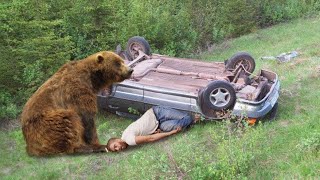 This Man Had An Accident Then A Bear Saw Him And Did The Unthinkable [upl. by Nattirb]