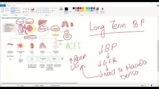 Hypertensionregulation of blood pressureantihypertensive drugs pharmacologyUSMLE STEP 1Pathology [upl. by Ecyor578]