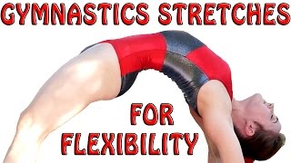 Flexibility Stretches Gymnastics At Home Exercises How To Tutorial amp Follow Along Workout Routine [upl. by Jonette]