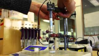 Chemistry  Ion Selective Electrode experiment [upl. by Dorrie930]