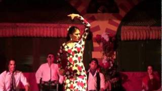 Flamenco Dance Seville Spain [upl. by Mall]