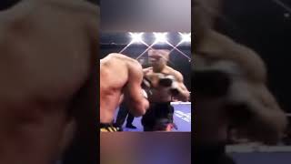 Рамон Деккерс  Комбинации с акцентом на печень Ramon Dekkers  Brutal combos [upl. by Legna]