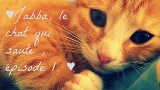 ♥♥Jabba  le chat qui saute Episode 1♥♥ [upl. by Osana]