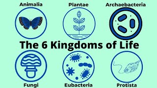 Basic Taxonomy6 Kingdoms of LifeClassification [upl. by Adiaros346]