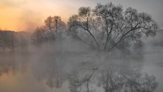 Leonid Kogan  Debussy  Il pleure dans ma coeur from Ariettes oubliées [upl. by Ahtennek]