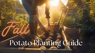 How to Plant Potatoes in Autumn Like a Pro [upl. by Annerol449]