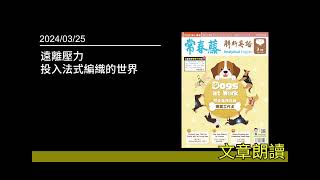 解析英語20240325 遠離壓力 投入法式編織的世界 Unknotting Stress with Macramé [upl. by Ameline]