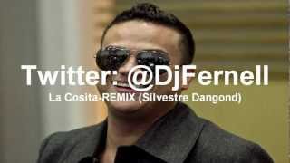 La Cosita RemixSilvestre Dangond RemixDj Fernell [upl. by Ailahtan]