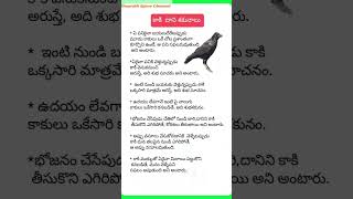 కాకి మరియు దాని శకునాలు [upl. by Aljan872]