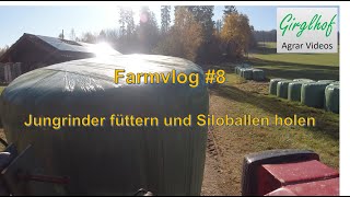 Farmvlog 8 Jungrinder füttern und Siloballen holen [upl. by Pooley]