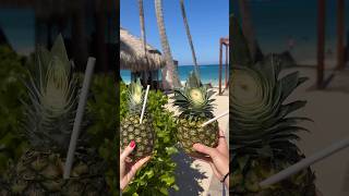 Hotel review Royalton Punta Cana  all inclusive luxury resort in DominicanRepublic Puntacana [upl. by Vudimir630]