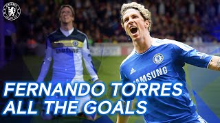 Fernando Torres  All the Goals  Best Goals Compilation  Chelsea FC [upl. by Lowson928]