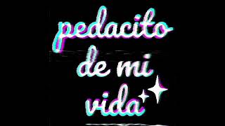 PEDACITO DE MI VIDA  CUMBIA SLOWED  LOS LIDERES [upl. by Nnaassilem]