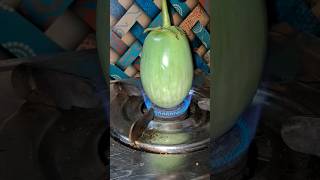 Green Brinjal Recipe new shorts viral traditionalfood [upl. by Atekram]