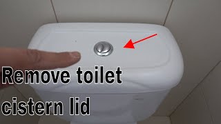 How to remove toilet cistern lid  Dual flush buttons [upl. by Matias]