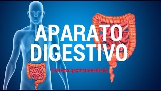 Aparato digestivo sistema gastrointestinal [upl. by Nikki520]