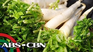 Salamat Dok Health benefits of Radish  Cure Mula sa Nature [upl. by Onairpic]