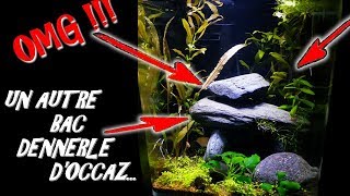 AQUARIUM DENERLE PAS CHER  VLOG NANO Aquariophilie by Aquazen [upl. by Medin]