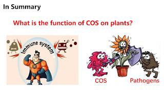 Application of Chitosan oligosaccharide in agriculture [upl. by Koo]