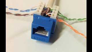 Connect Cat6 cable to Jack [upl. by Enaillil]