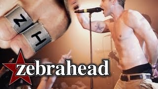 Zebrahead  Im Just Here For The Free Beer Official Live Video [upl. by Adelle22]