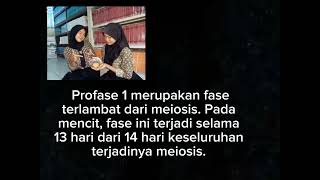 TUGAS BIOLOGI XI3 KELOMPOK 6 PROFASE MEIOSIS 1 [upl. by Bever]