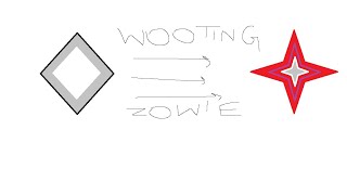 Trying out Wootings quotCheating Featurequot SOCD in CS2 and Valorant Part 3 [upl. by Aisorbma]