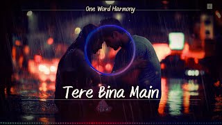 Tere Bina Main  Heartbreaking Hindi Song  Emotional Love Ballad  Sad Song 2024 [upl. by Sankaran]