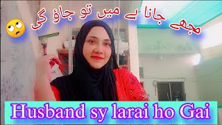 Husband sy larai go Gai  daily real life vlog  new vlogs  Toshis Lifestyle [upl. by Bone]