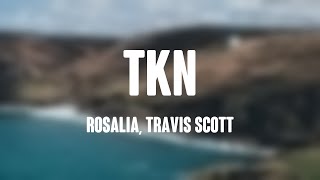 TKN  Rosalia Travis Scott Lyrics Video [upl. by Dibbell]