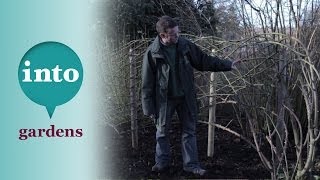 Pruning rambling roses with Ian le Gros from RHS Hyde Hall [upl. by Concoff109]