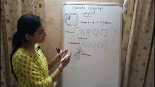 BIOLOGY Lecture 3  Chromatin Chromosome and Chromatid  Genetics Biology [upl. by Marteena965]