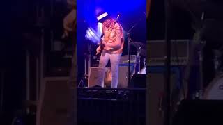 Red House  Live from Nashville TN Fan Video [upl. by Joanna851]