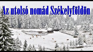 Itt nincs áram térerő és a legközelebbi bolt 20kmre van A hegyek mélyén él Attila a feleségével [upl. by Aikimat776]